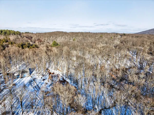 an aerial view of ocean and trees