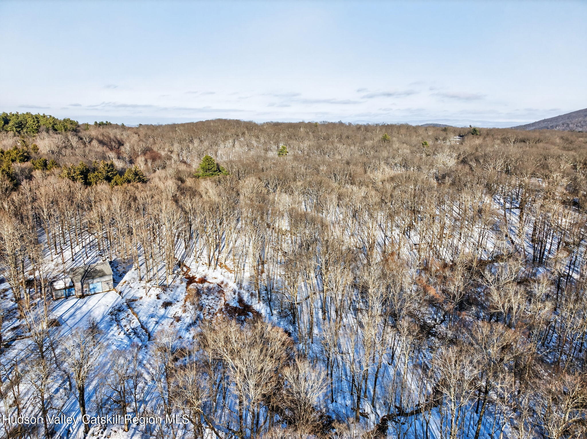 Tbd Hicks Hill Road Stanfordville, NY 12581 - Photo 21 of 31