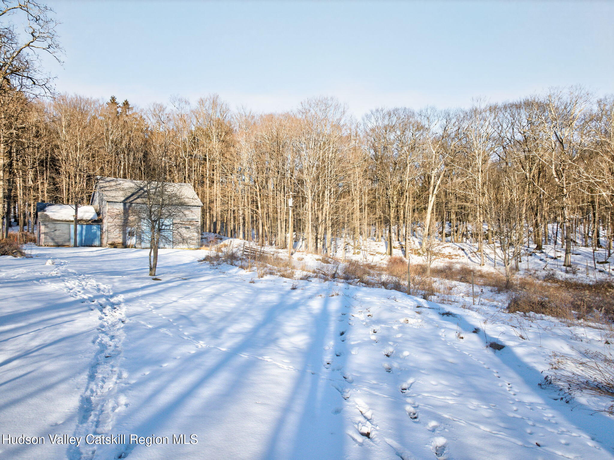 Tbd Hicks Hill Road Stanfordville, NY 12581 - Photo 6 of 31 a view of outdoor space with trees