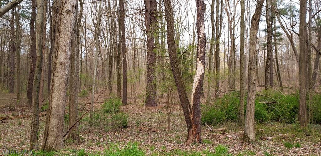 460 Oak Leaf Lane Roaring Spring, PA 16673 - Photo 2 of 5 a backyard of a house with plants and large trees