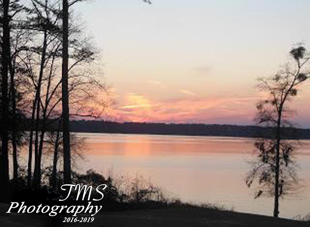 Lot 5 County Line Road Georgetown, GA 39854 - Photo 1 of 8