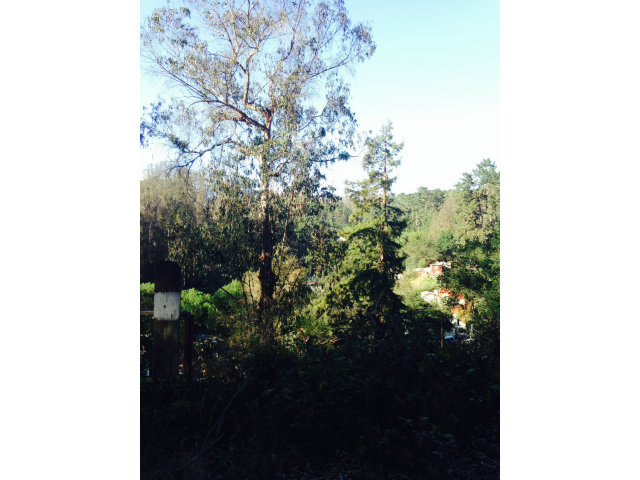 836 Lewis Road, Unit A Watsonville, CA 95076 - Photo 6 of 22 a backyard of a house