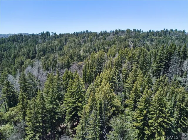 $84,497 | 0 Lodge Road, Boulder Creek, CA 95006