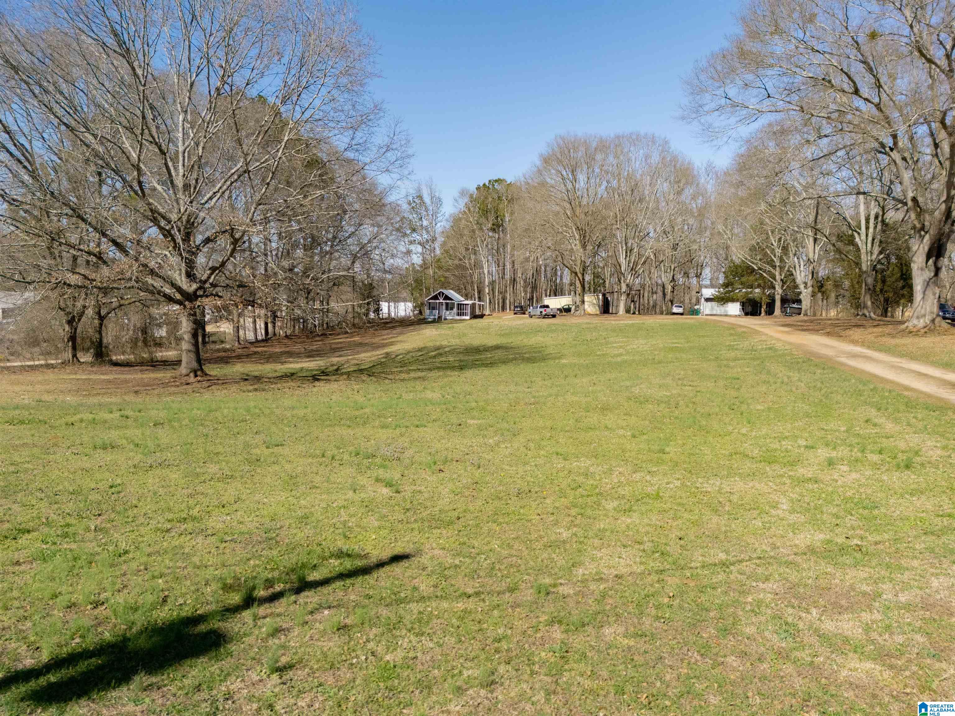 120 3rd Avenue North Ranburne, AL 36273 - Photo 31 of 33