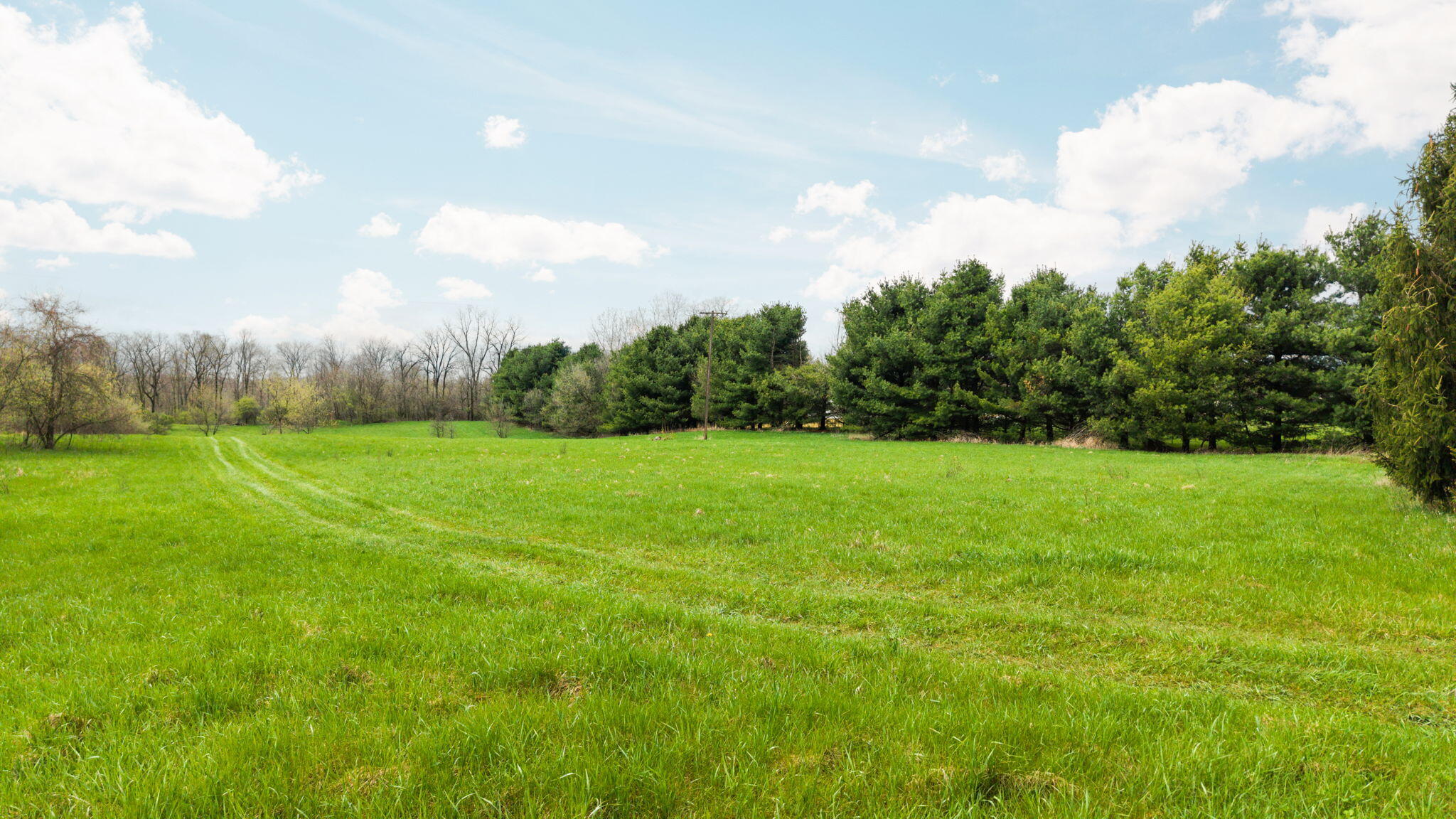 9602 Clinton Road Manchester, MI 48158 - Photo 4 of 17 33-web-or-mls-DJI_20260416140108_0184_D