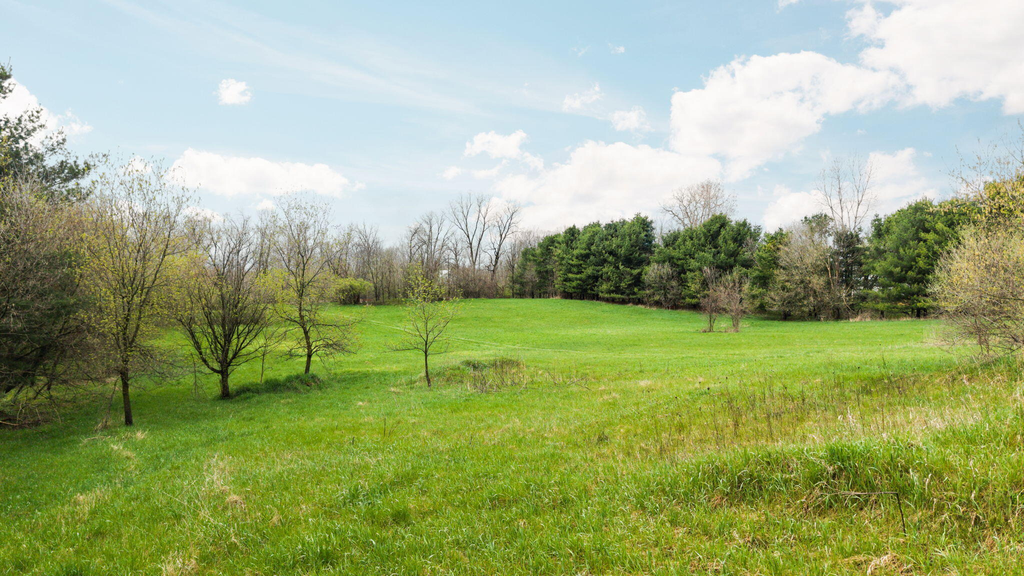 9602 Clinton Road Manchester, MI 48158 - Photo 5 of 17 32-web-or-mls-DJI_20260416140014_0183_D