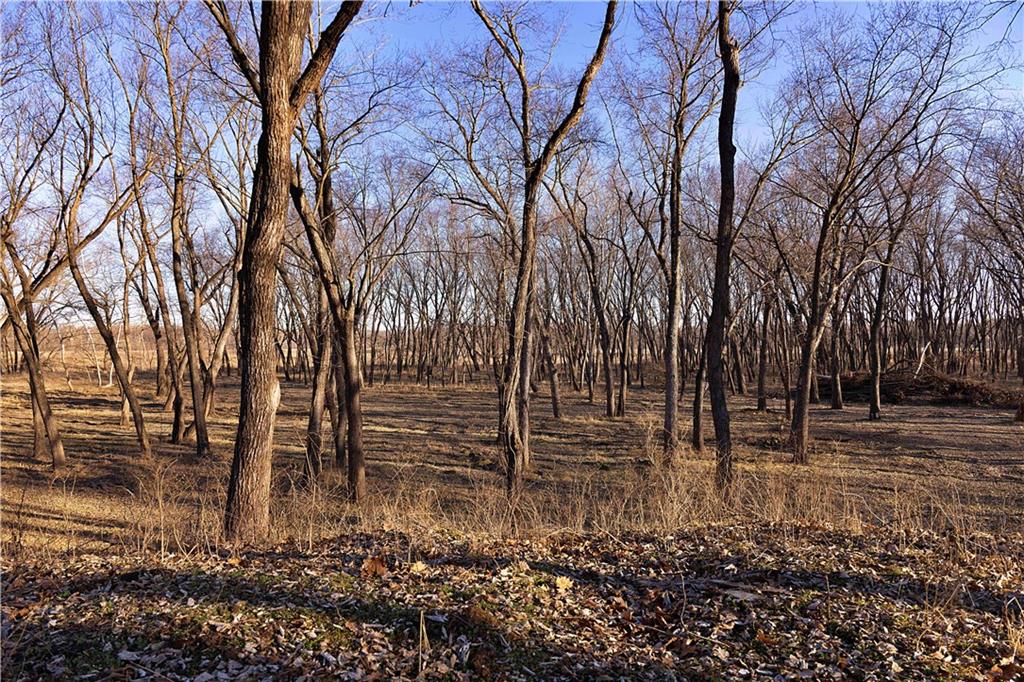 1 Edgerton Junction Road Camden Point, MO 64018 - Photo 13 of 16