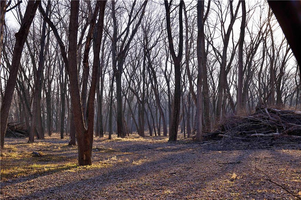 1 Edgerton Junction Road Camden Point, MO 64018 - Photo 15 of 16