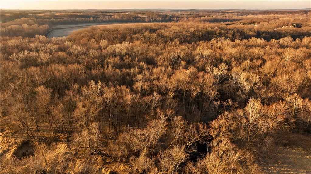 1 Edgerton Junction Road Camden Point, MO 64018 - Photo 4 of 16