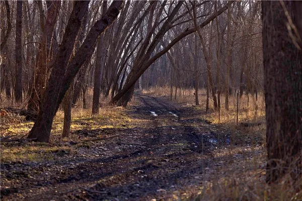 $10,000 | 1 Edgerton Junction Road, Camden Point, MO 64018