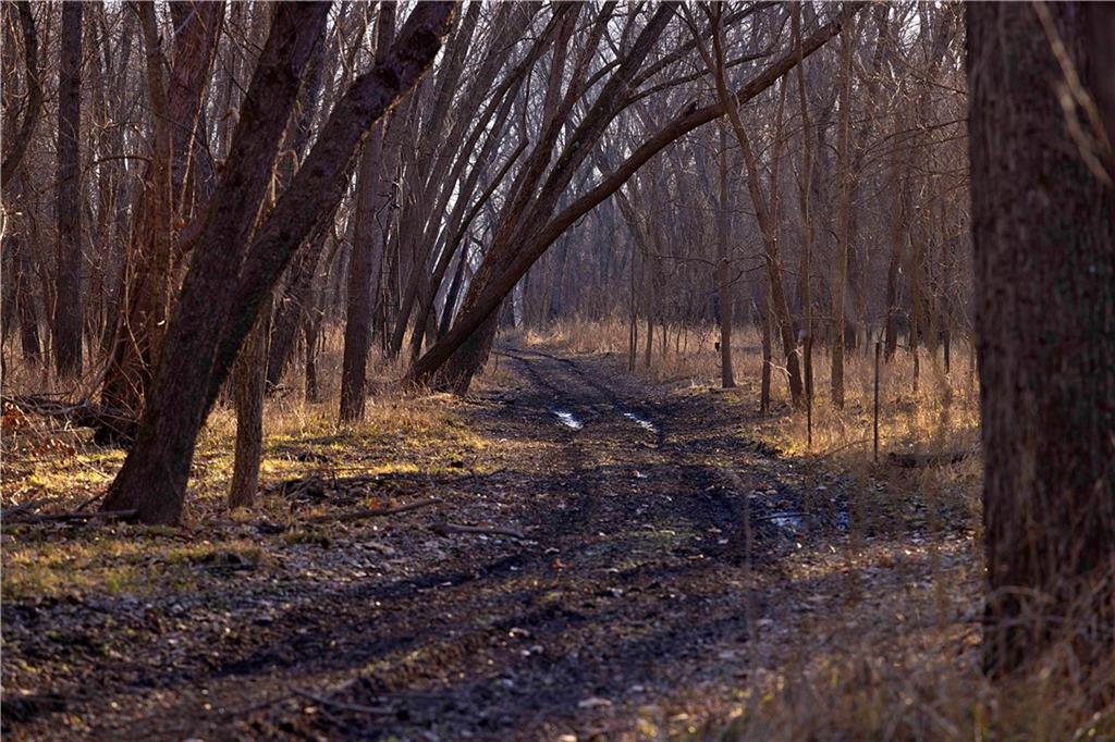 1 Edgerton Junction Road Camden Point, MO 64018 - Photo 6 of 16