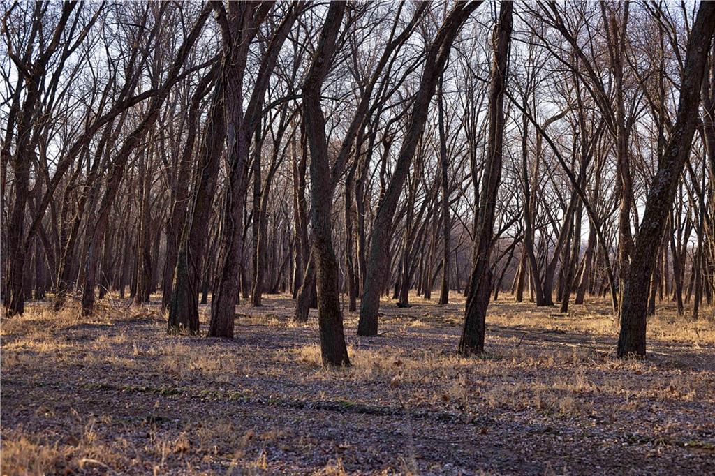 1 Edgerton Junction Road Camden Point, MO 64018 - Photo 8 of 16