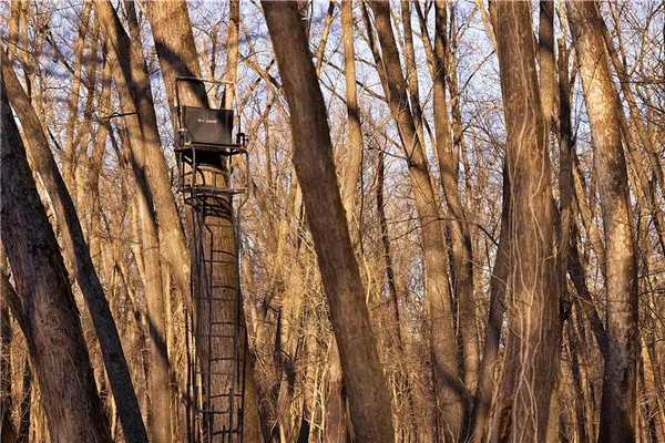 $10,000 | 1 Edgerton Junction Road, Camden Point, MO 64018