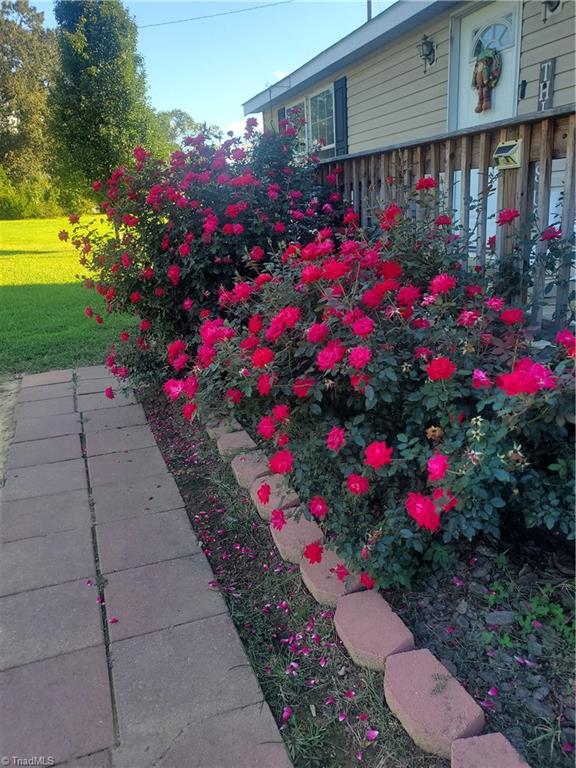 1936 Foxfire Road Asheboro, NC 27205 - Photo 5 of 23 Beautiful rose bushes