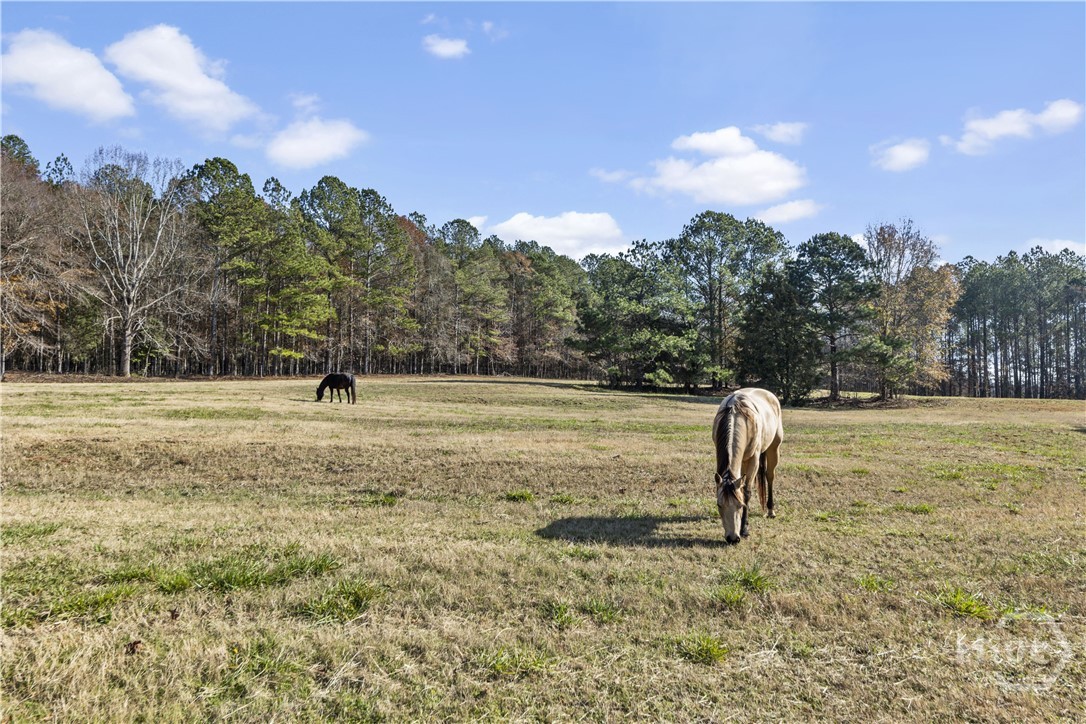 4410 Lower Apalachee Road Madison, GA 30650 - Photo 70 of 72 Gallery Image 70