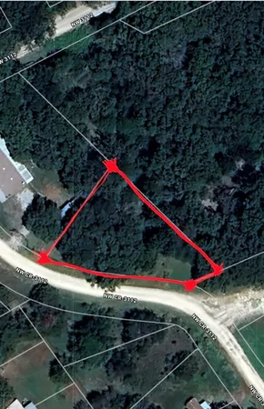 a view of a forest with large trees