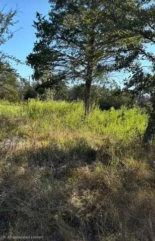 a view of a yard with trees
