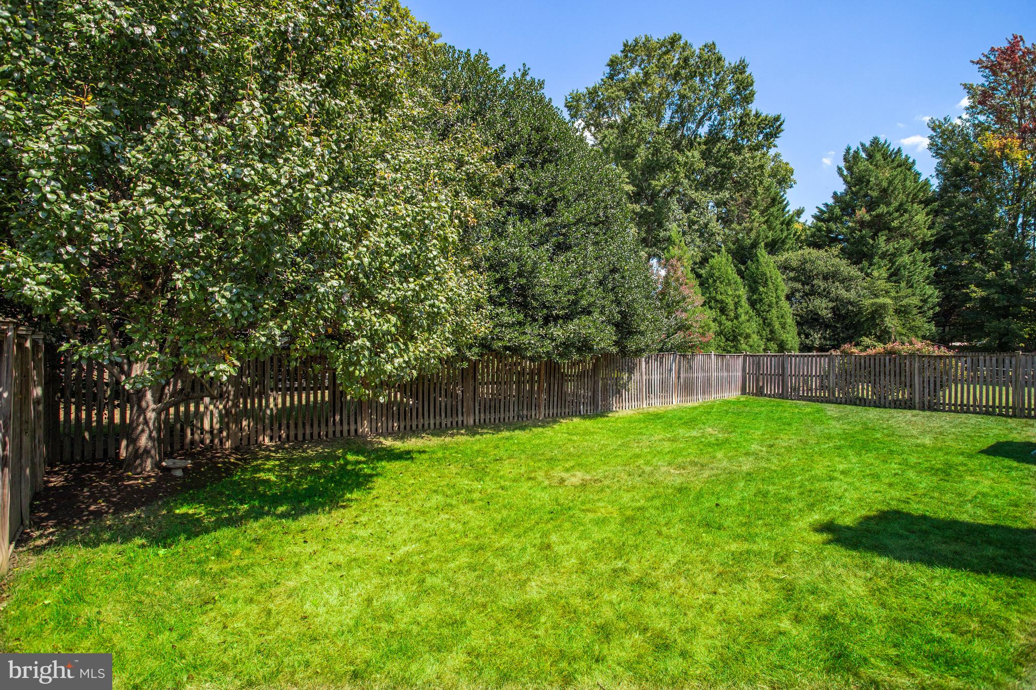 5629 Newington Road Bethesda, MD 20816 - Photo 60 of 65 a backyard of a house with lots of green space