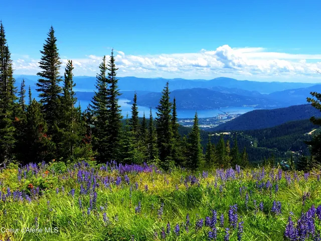 $4,400,000 | 03 Crystal Springs Road, Sandpoint, ID 83864