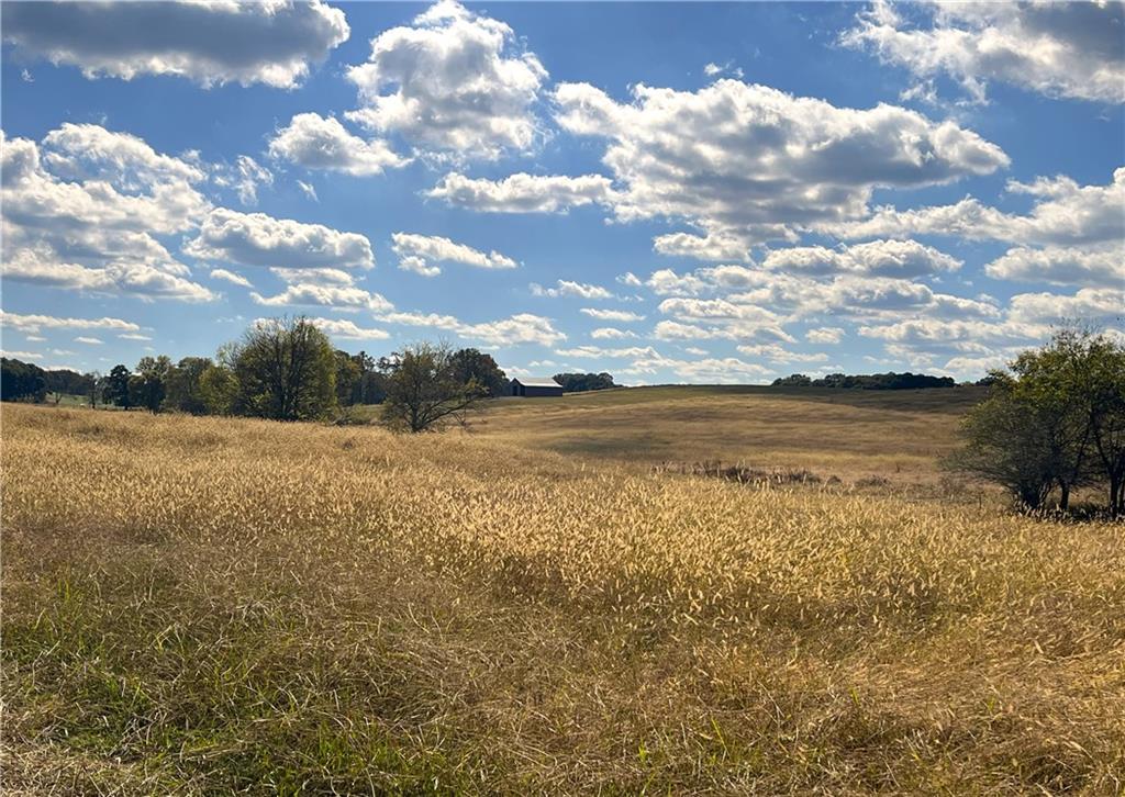 0 Hunts Gin Road Calhoun, GA 30701 - Photo 2 of 10 a view of an ocean and beach
