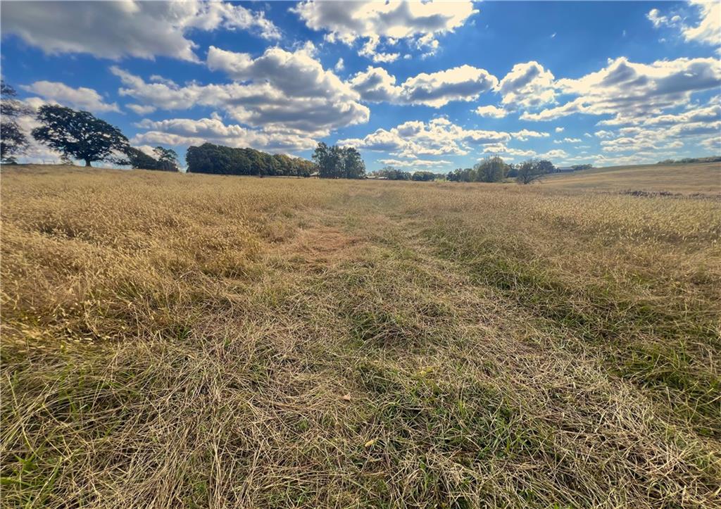 0 Hunts Gin Road Calhoun, GA 30701 - Photo 5 of 10