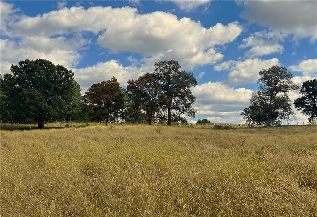 0 Hunts Gin Road Calhoun, GA 30701 - Photo 6 of 10