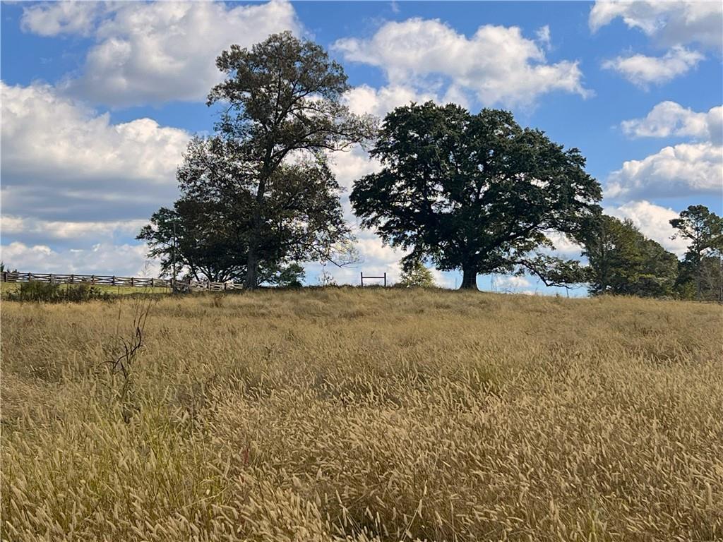 0 Hunts Gin Road Calhoun, GA 30701 - Photo 7 of 10 a view of lake view