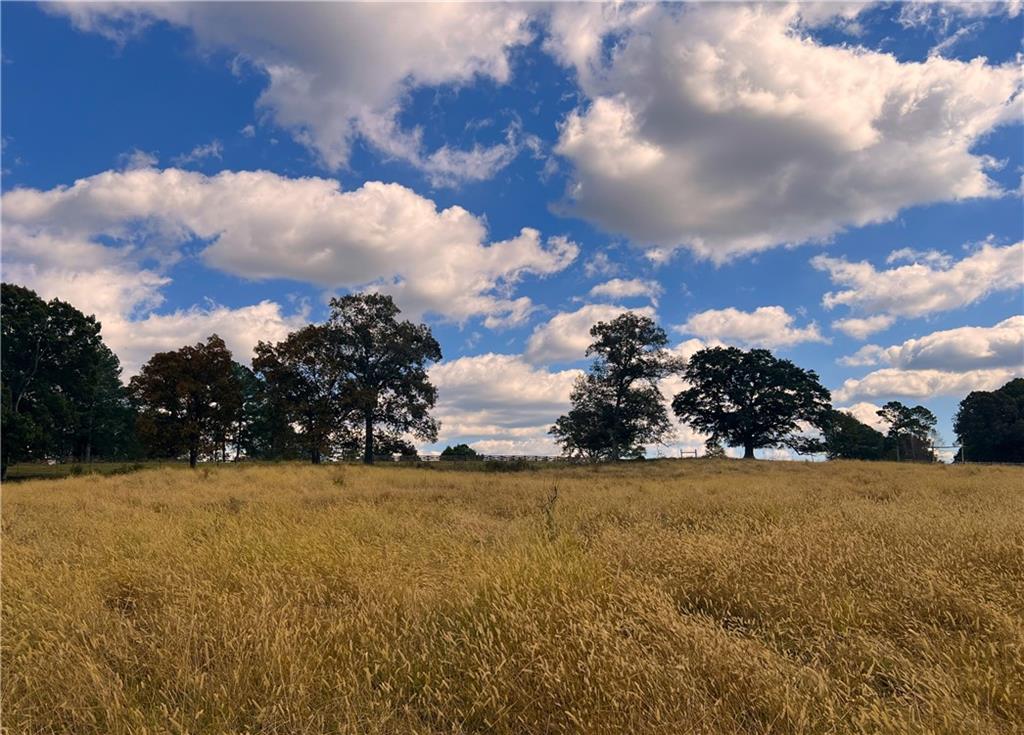0 Hunts Gin Road Calhoun, GA 30701 - Photo 8 of 10 a view of beach and lake view