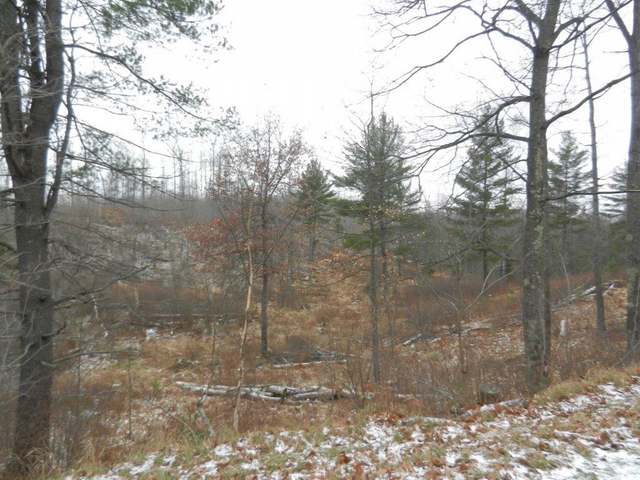 30-acres Blue Lake Road Minocqua, WI 54548 - Photo 2 of 5 Gallery Image 2