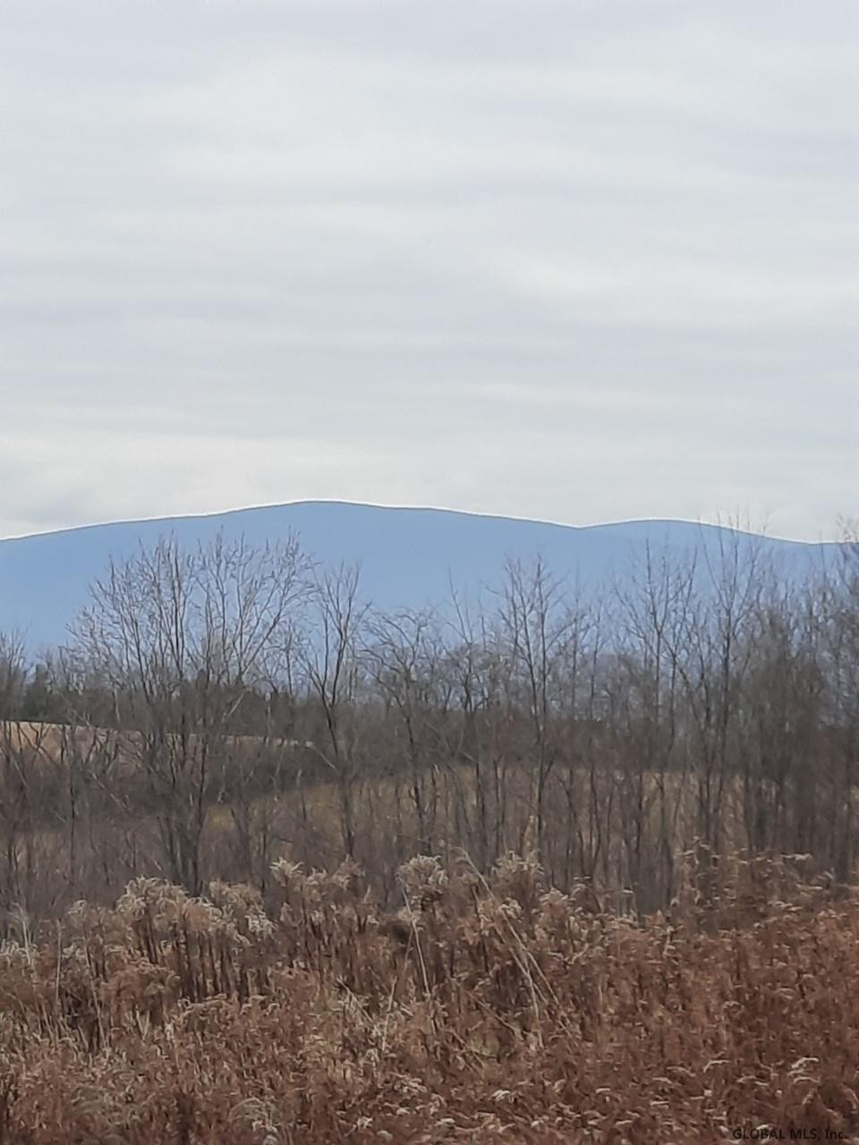Hill Road Hoosick Falls, NY 12090 - Photo 4 of 6 Photo 4