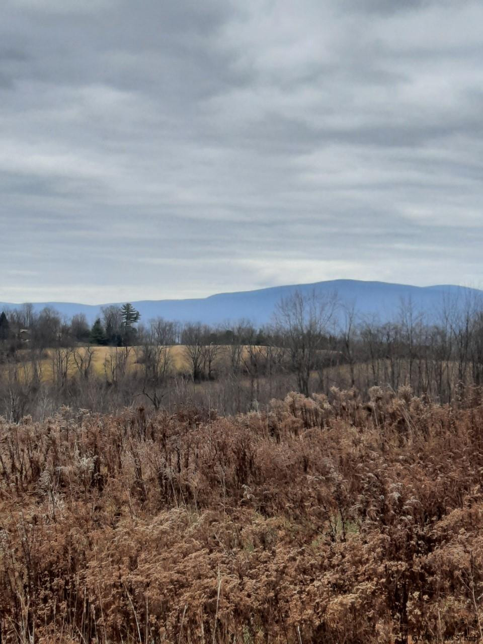 Hill Road Hoosick Falls, NY 12090 - Photo 6 of 6 Photo 6