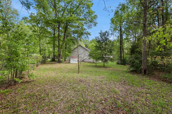a view of a backyard with trees