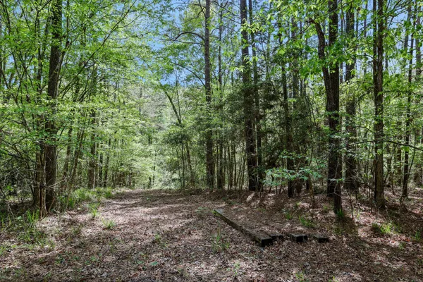 a view of outdoor space and trees