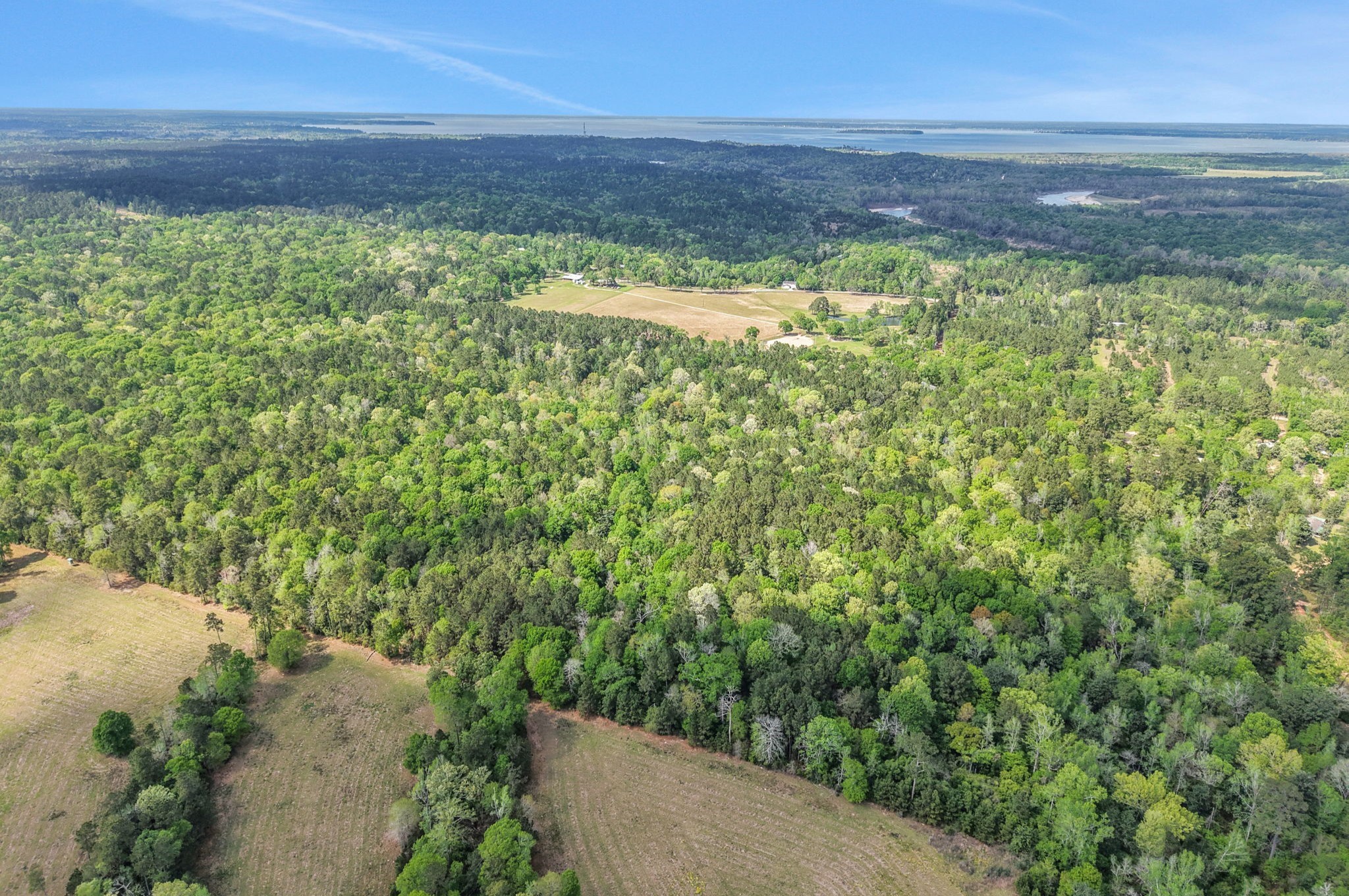 1290 Spring Ridge Road Coldspring, TX 77331 - Photo 49 of 49 This is from the back of the property, looking towards Spring Ridge Road. You can see Lake Livingston in the distance!