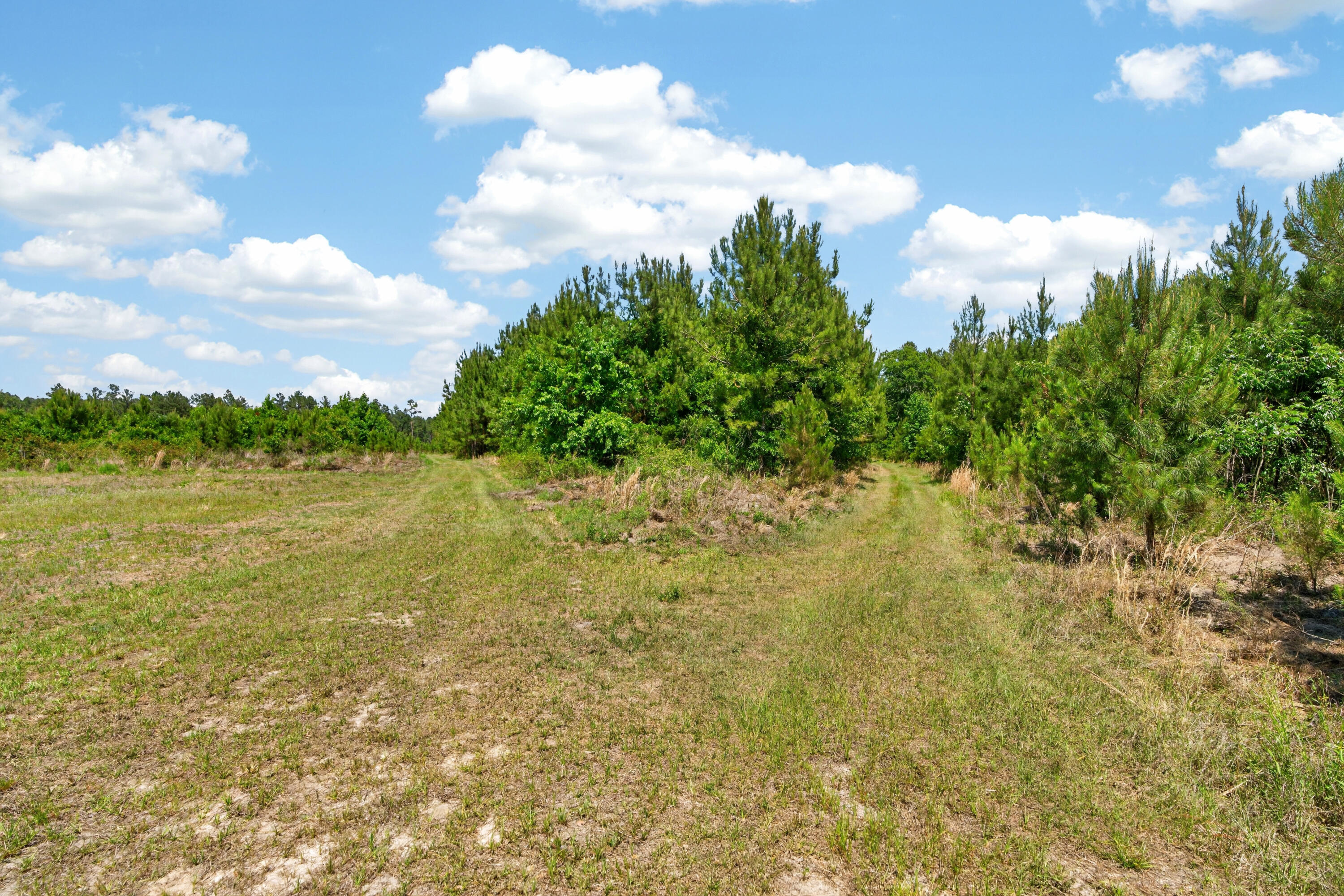 5120 North Brewington Road, Unit 10 Alcolu, SC 29001 - Photo 24 of 40 DSC09173