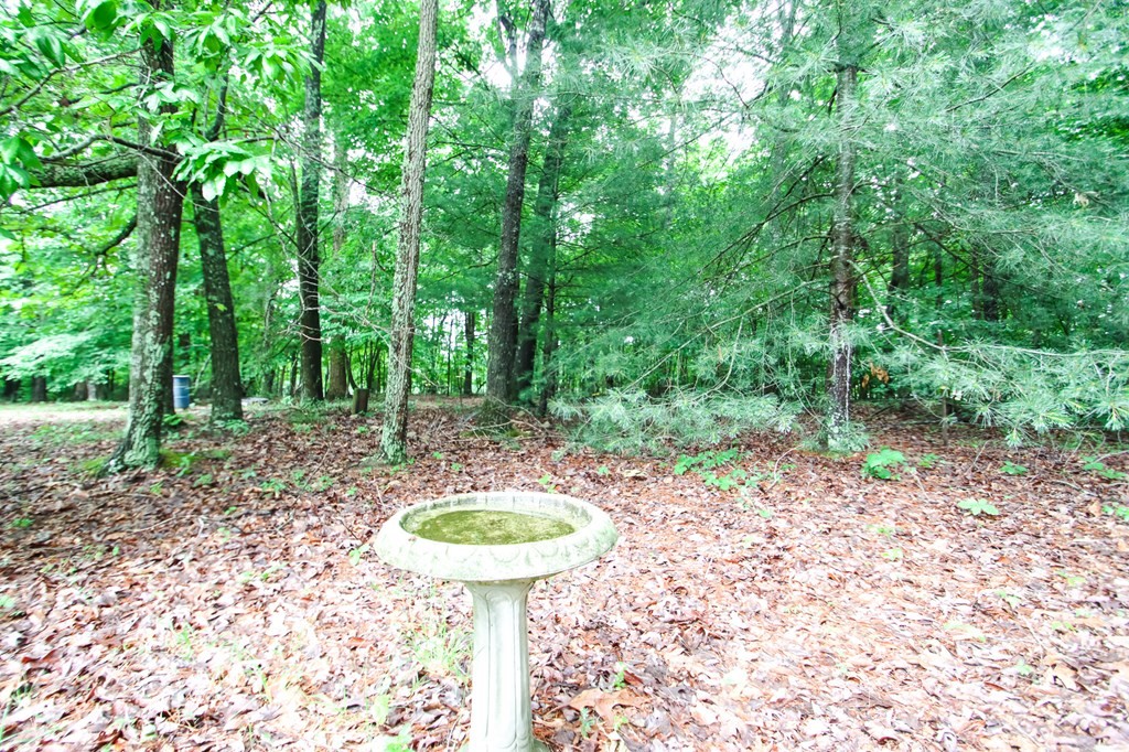 541 Toy Slatten Road Sparta, TN 38583 - Photo 31 of 34