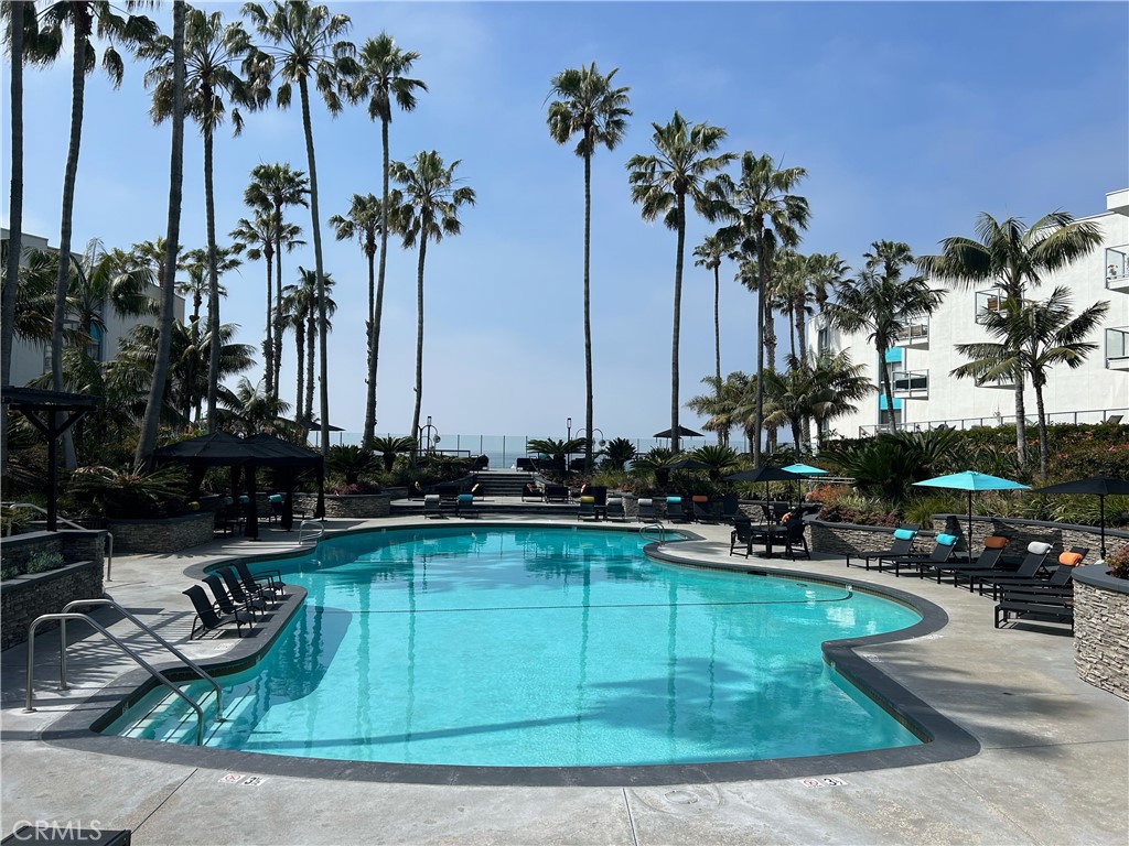 a view of a swimming pool with a chair and palm trees