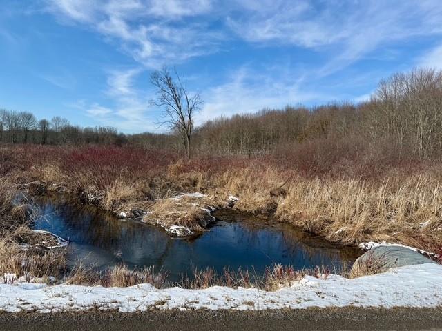 0 Cannery Road New Wilmington, PA 16137 - Photo 2 of 9 a view of lake from a mountain