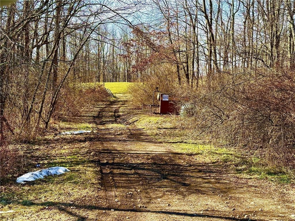 0 Cannery Road New Wilmington, PA 16137 - Photo 4 of 9 a view of a yard with wooden fence