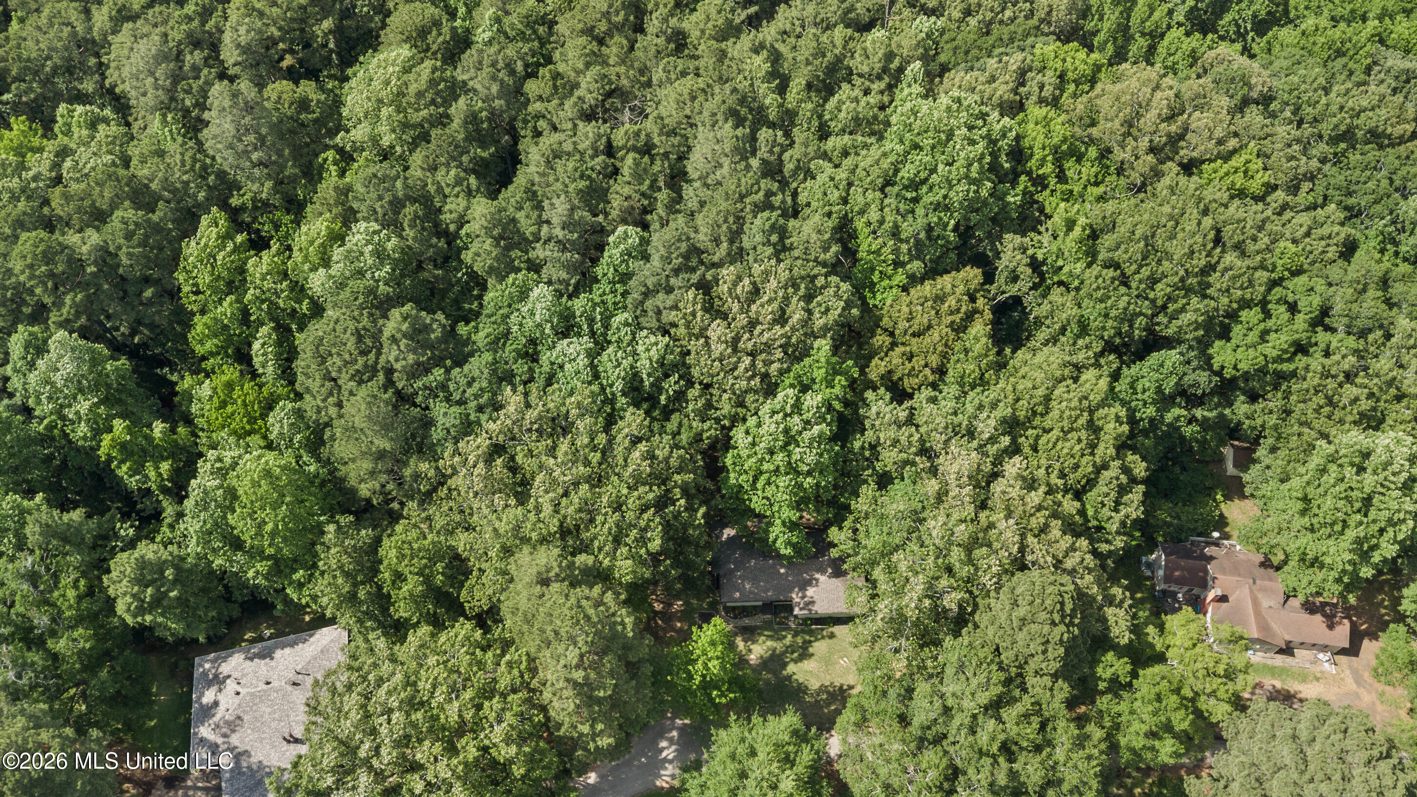 49 Autumn Drive Coldwater, MS 38618 - Photo 20 of 28 autumn aerial