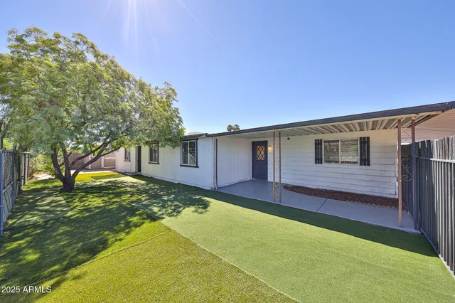 a view of a yard with plants and trees
