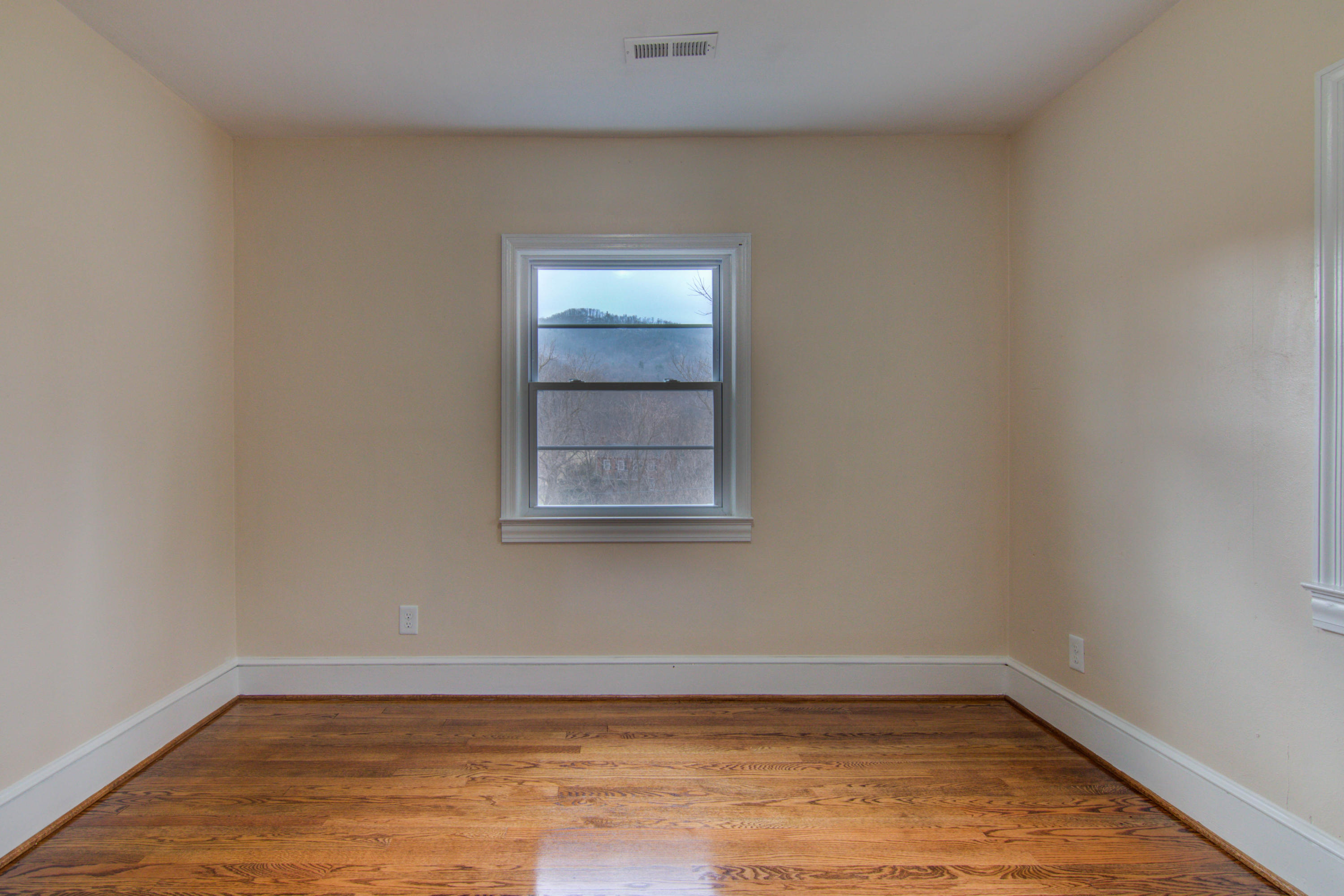 3438 Naff Road Boones Mill, VA 24065 - Photo 21 of 38 IMG_9615_6_7_8_9