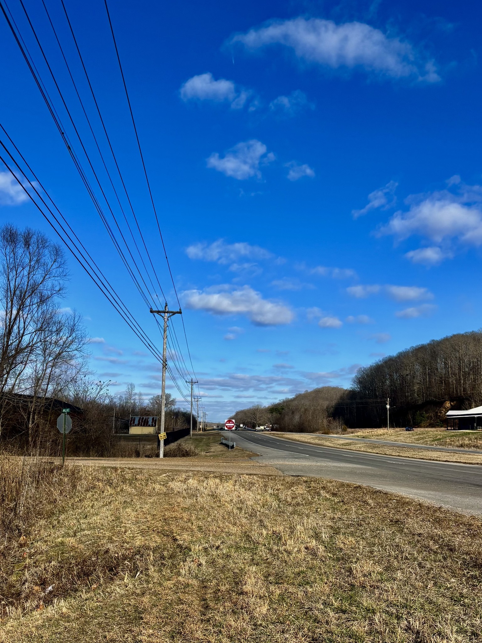 0 Wallace Road Waverly, TN 37185 - Photo 1 of 7 a view of a backyard