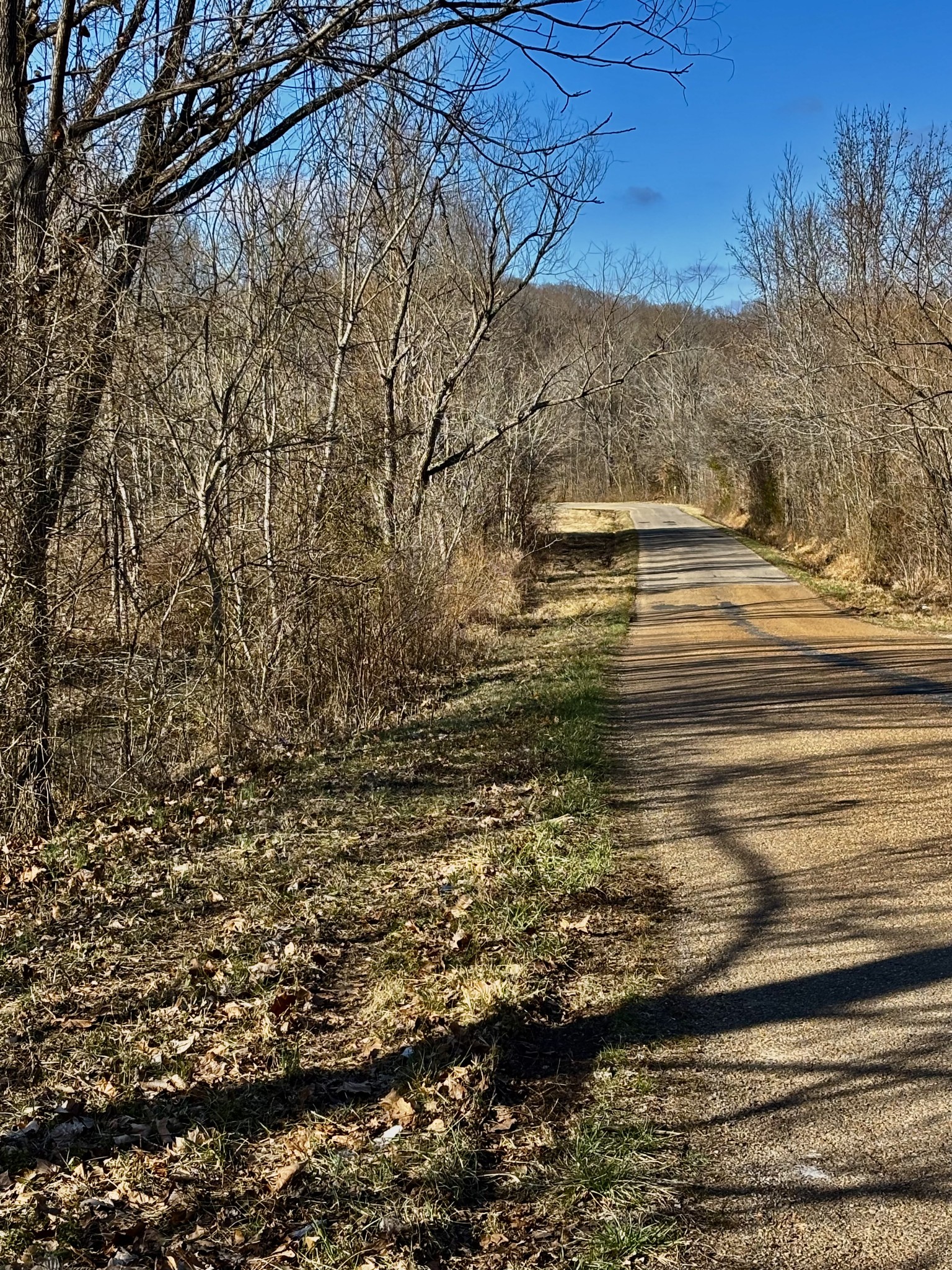 0 Wallace Road Waverly, TN 37185 - Photo 4 of 7 a view of ocean