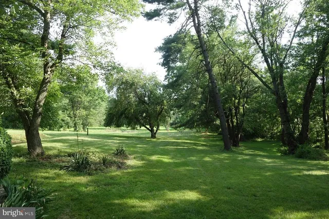 a grassy field with trees in the background