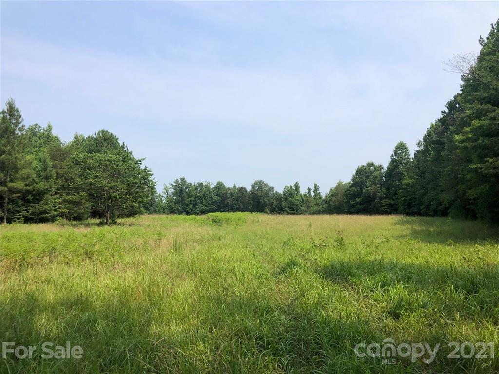 5698 Burney Mill Road Denton, NC 27239 - Photo 2 of 37 Gallery Image 2