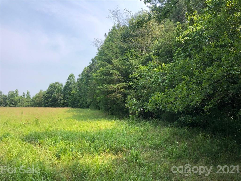 5698 Burney Mill Road Denton, NC 27239 - Photo 3 of 37 Gallery Image 3