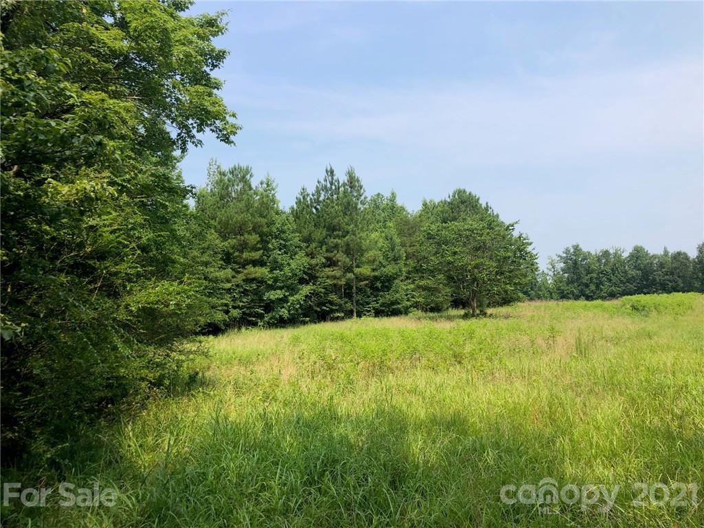 5698 Burney Mill Road Denton, NC 27239 - Photo 4 of 37 Gallery Image 4