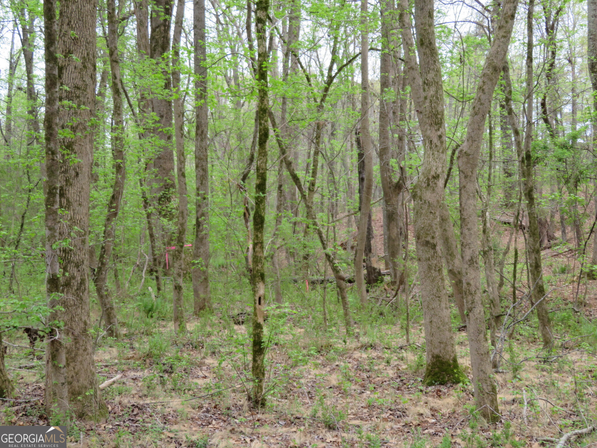 0 Oak Road Jenkinsburg, GA 30234 - Photo 11 of 18