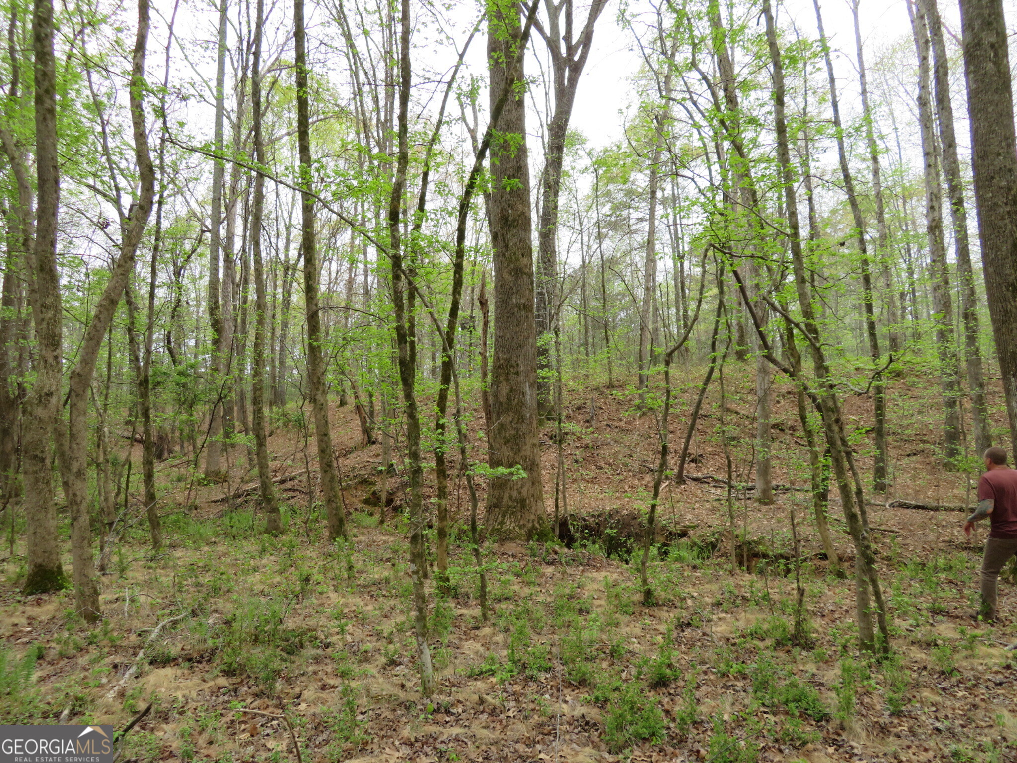 0 Oak Road Jenkinsburg, GA 30234 - Photo 12 of 18